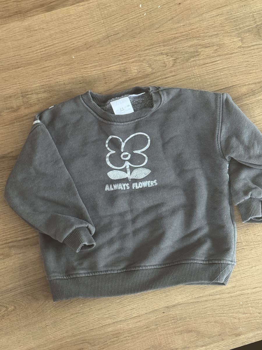 sweat fille Zara 2-3 ans 98 cm gris kaki imprimé fleur always flowers — Bon Etat — à Paris